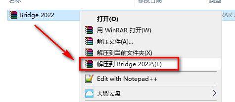 下载br-官版下载-Bridge Br2022中文版下载 官方版特色_删除文件_02