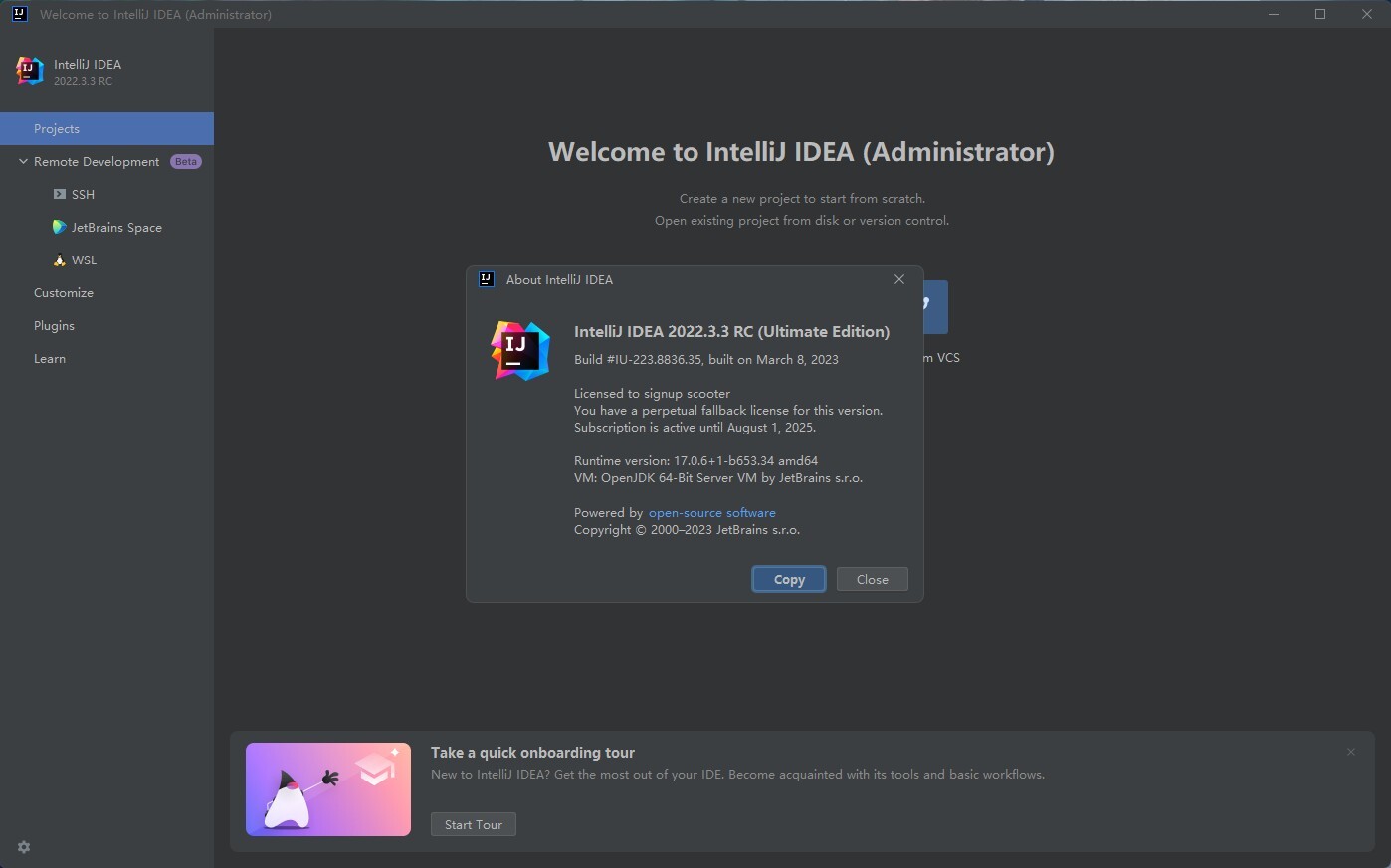 Java开发工具：IntelliJ IDEA 2022.3.3 win/mac激活版_IDEA2022激活