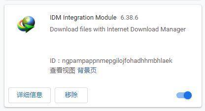 地表最强下载软件IDM 6.41下载神器，真的下载神速吗_迅雷_09