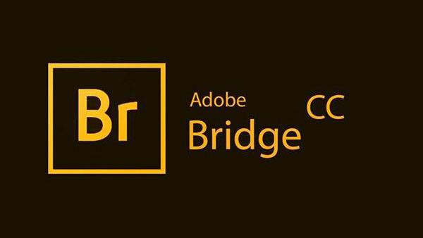 br图片处理软件 Br软件全版本下载 软件推荐_Adobe_06