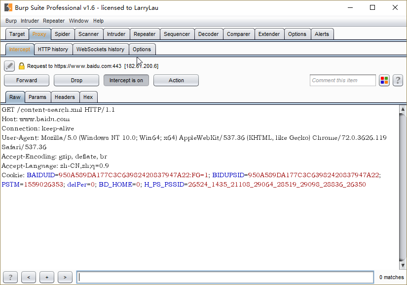 Burp suite使用手册_Burp Suite_06