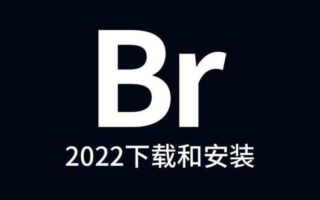 下载br-官版下载-Bridge Br2022中文版下载 官方版特色_删除文件_09