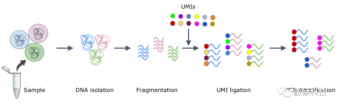 提升UMI分析精度和计算效率：Sentieon UMI分子标记处理模块_UMI