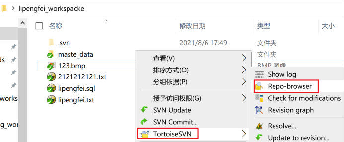 一步一步搭建Svn服务之TortoiseSVN基本操作_apache_113