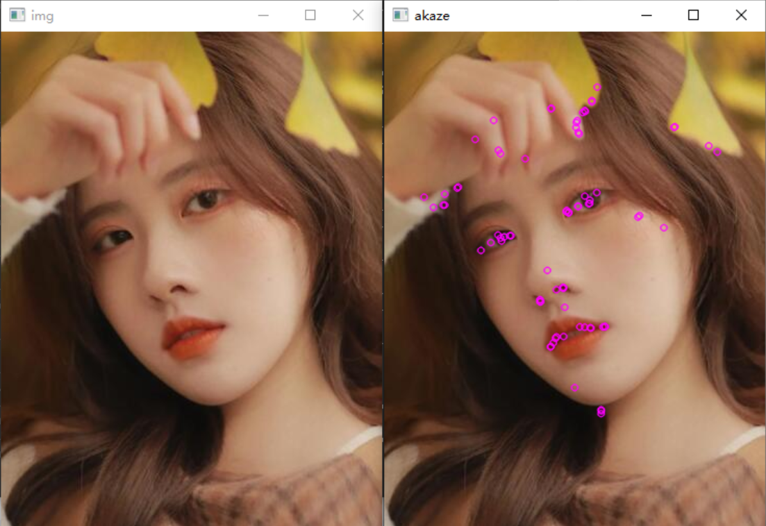 OpenCV  AKAZE特征检测_角点