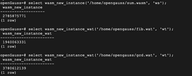 openGauss+Wasm：构建安全高效的UDF执行引擎_开发人员_05