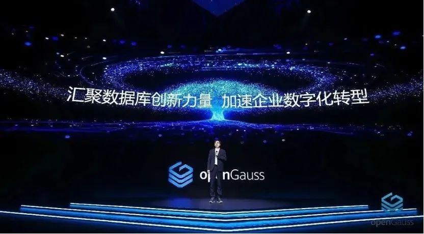 【观察】汇聚中国开源数据库创新力量，openGauss驶入发展“快车道”_解决方案