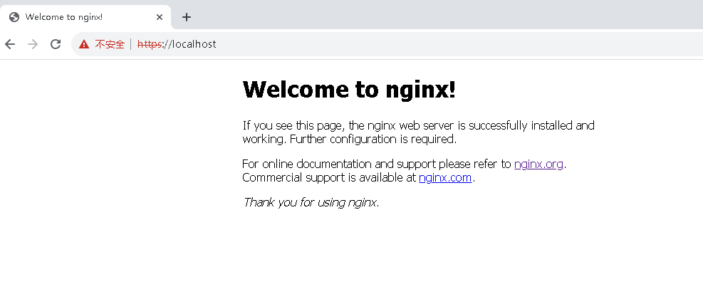 Windows中Nginx使用OpenSSL自签名证书配置Https_Https_17