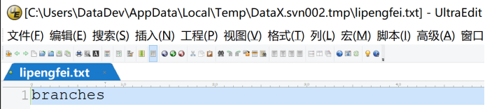 一步一步搭建Svn服务之主干分支操作_版本管理_43