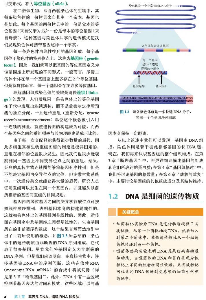 重磅预售 | 分子生物学与遗传学经典名著——《Lewin基因XII》（中译本）_扫描二维码_09