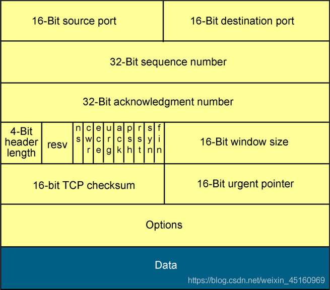 计算机网络-TCP/IP 报文格式_TCP_02