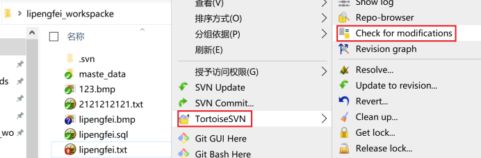 一步一步搭建Svn服务之TortoiseSVN基本操作_java_88