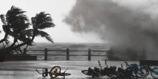城市安全风险综合监测预警平台在台风天气中的重要作用_数据共享