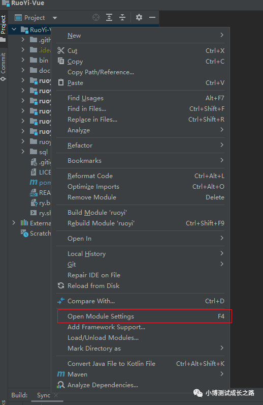 windows电脑上安装IntelliJ IDEA工具运行开源项目_ide_10