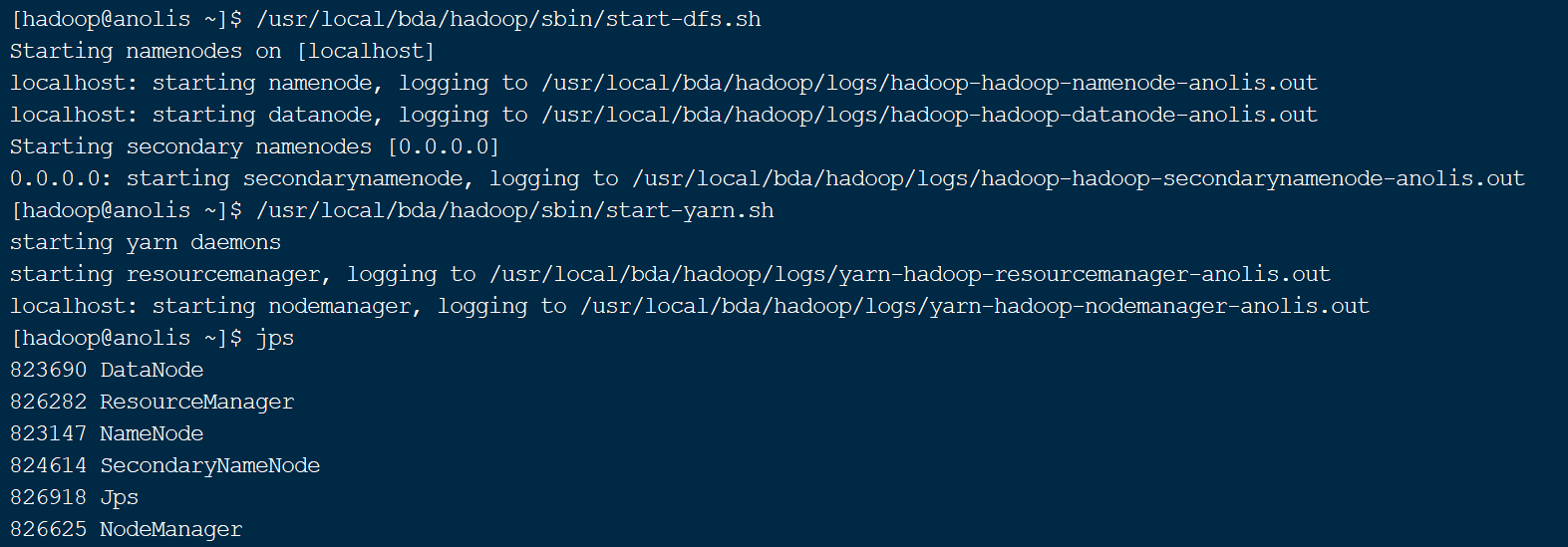 Hadoop环境安装与配置_Hadoop_19