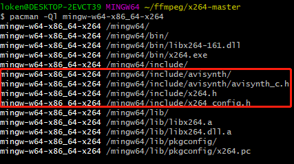  FFmpeg引入x264扩展_编码器_11