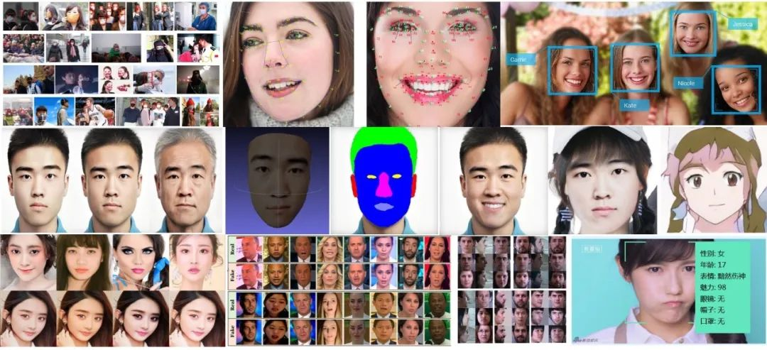 【开源项目】一个GitHub项目，囊括人脸图像要读的重要论文_深度学习_04
