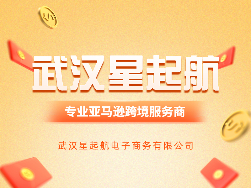 武汉星起航：一家致力于为客户提供更高价值的跨境电商孵化企业_解决方案