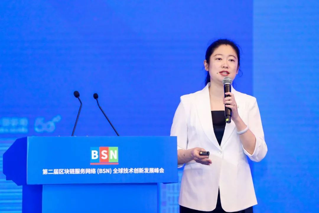 第二届BSN全球技术创新发展峰会在武汉成功举行_数据_11