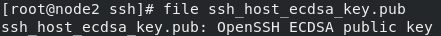 关于菜鸡学习RHEL8的一些小笔记--->linux上的ssh远程_redhat_10
