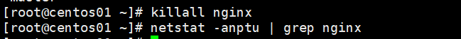 配置Nginx虚拟主机_nginx_13