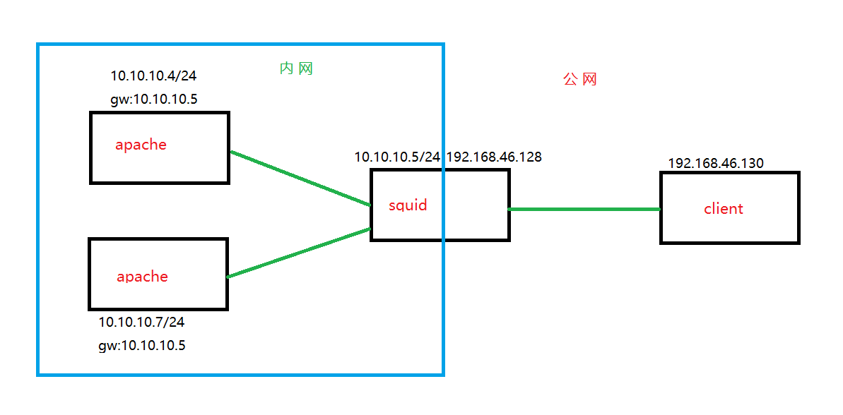 Rocky_Linux9之Squid反向代理模式_Squid服务_02