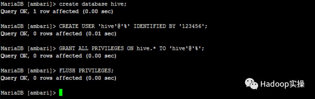 如何在Centos7.2安装HDP2.6_hdfs_13