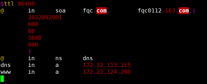 DNS域名解析服务1_服务器_04