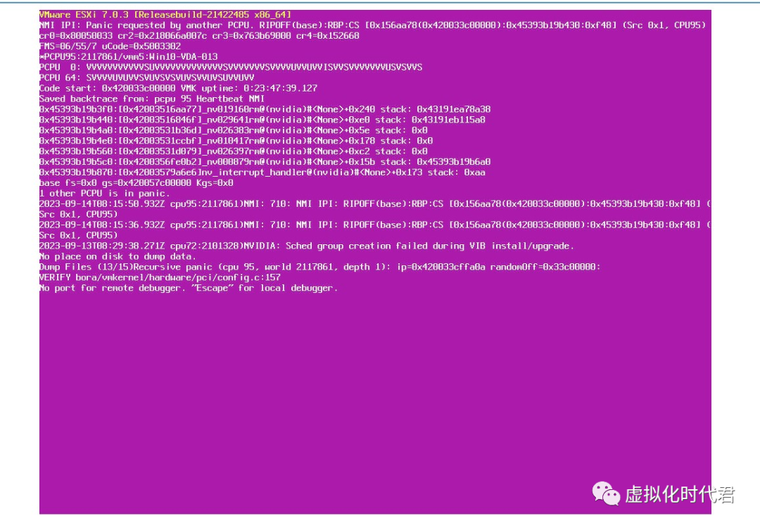 VMware ESXi 紫屏/蓝屏故障解决方案_祡屏_02