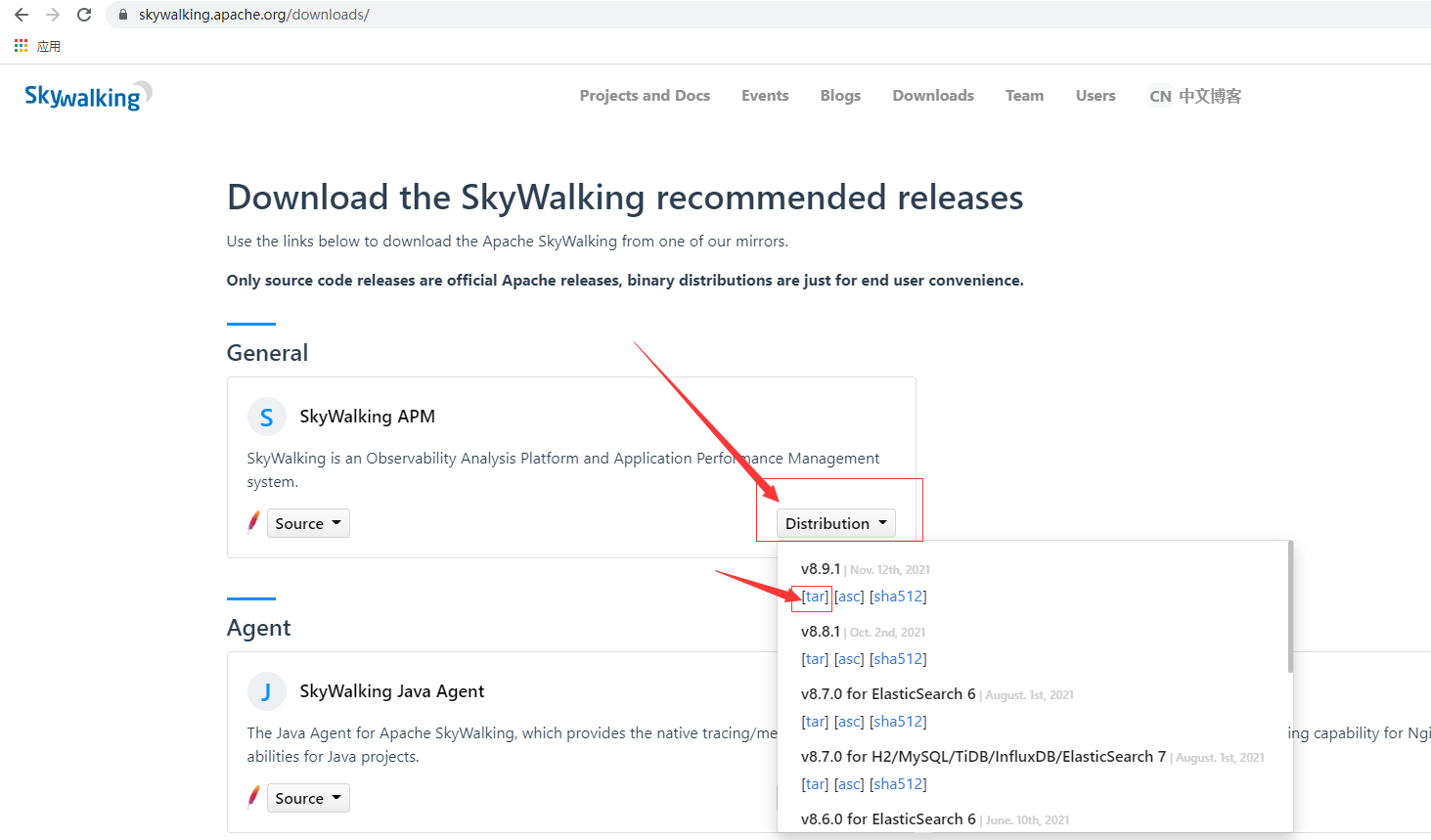centos 安装 最新版 skywalking 8.9.1_apache