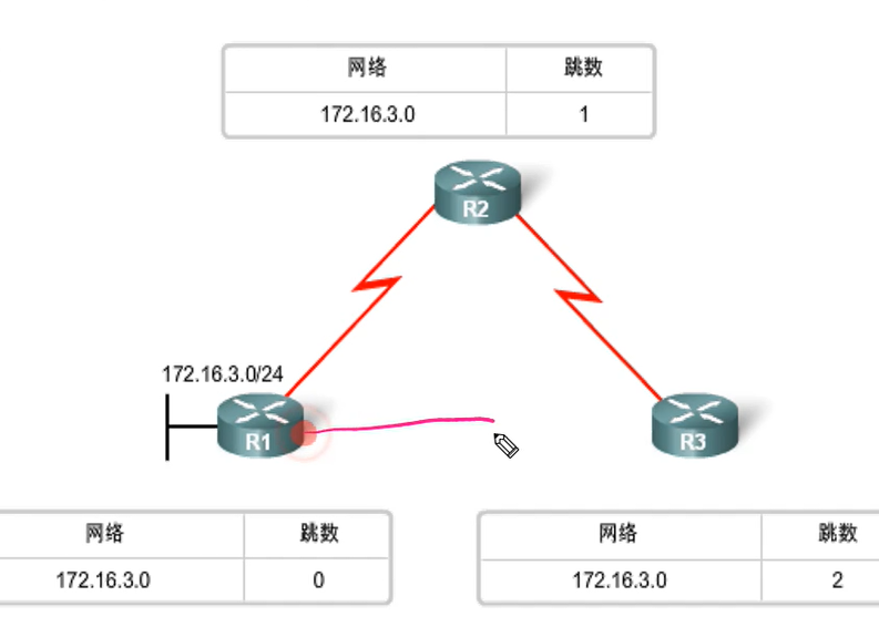 Cisco CCNA——Open Shortest Path First (OSPF)_链路_06