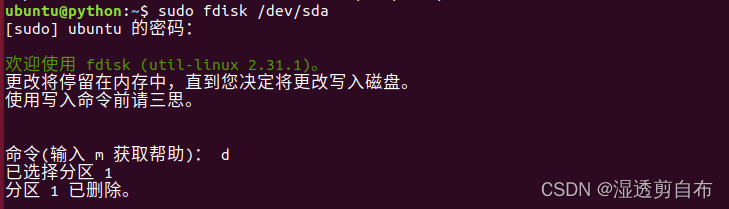 VMware Workstation Pro 虚拟机硬盘容量扩容 ubuntu server linux篇_删除文件_05