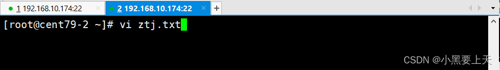 Linux命令(59)之screen_screen_03