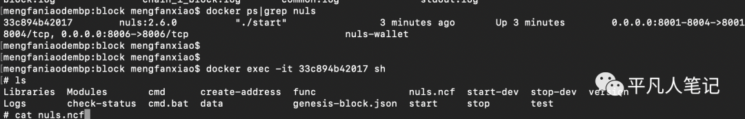 Nuls区块链环境搭建_源码包_13