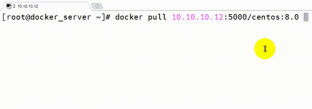 Docker搭建本地私有仓库_Linux_05