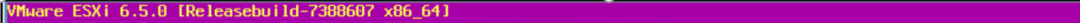 VMware ESXi 紫屏/蓝屏故障解决方案_祡屏_03
