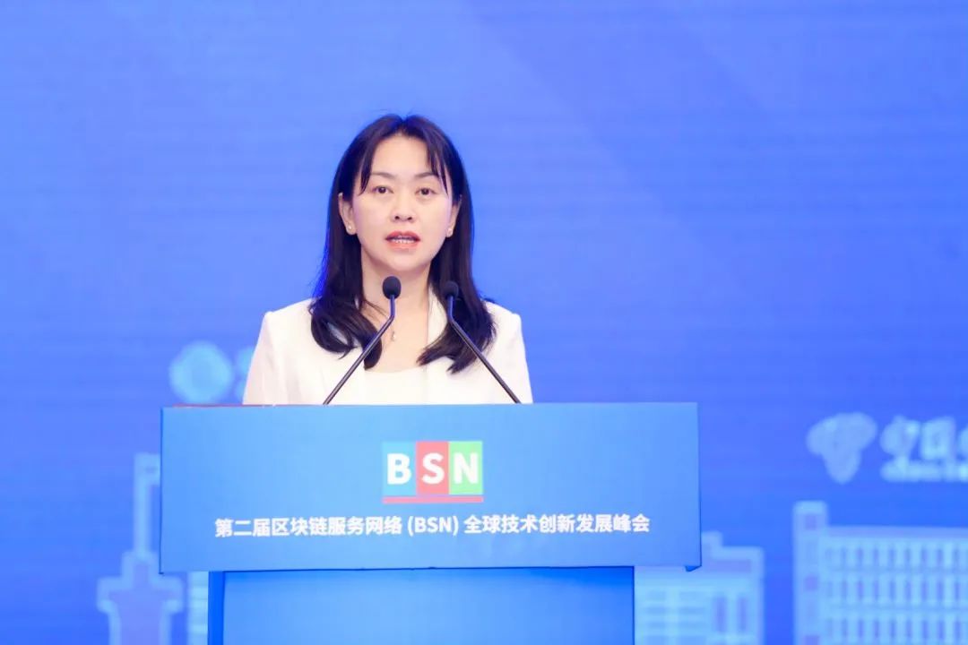 第二届BSN全球技术创新发展峰会在武汉成功举行_数据_06