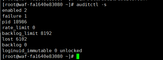 linux 安全审计_字段_02