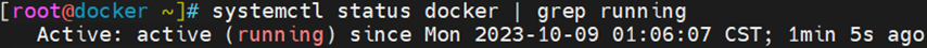 CentOS 7.9在线和离线两种方式安装docker-24.0.6_离线安装docker_09