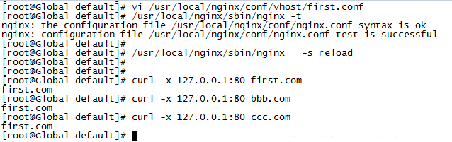 Nginx默认虚拟主机_配置文件_04