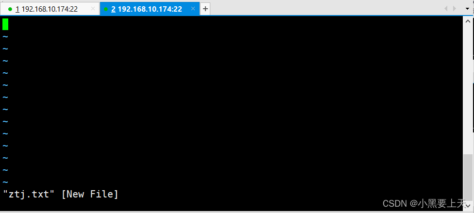 Linux命令(59)之screen_screen_04