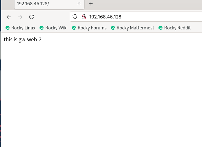 Rocky_Linux9之Squid反向代理模式_Squid服务_09