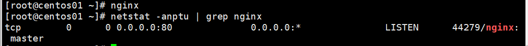 配置Nginx虚拟主机_虚拟主机_12