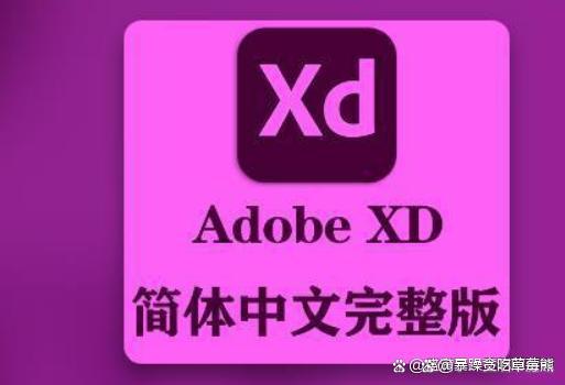 AdobeXD全版本XD安装包下载XD中文版直装 软件激活版_视觉设计_02