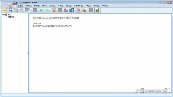 SPSS 25 汉化版下载「IBM spss statistics」中文一键安装_SPSS_02