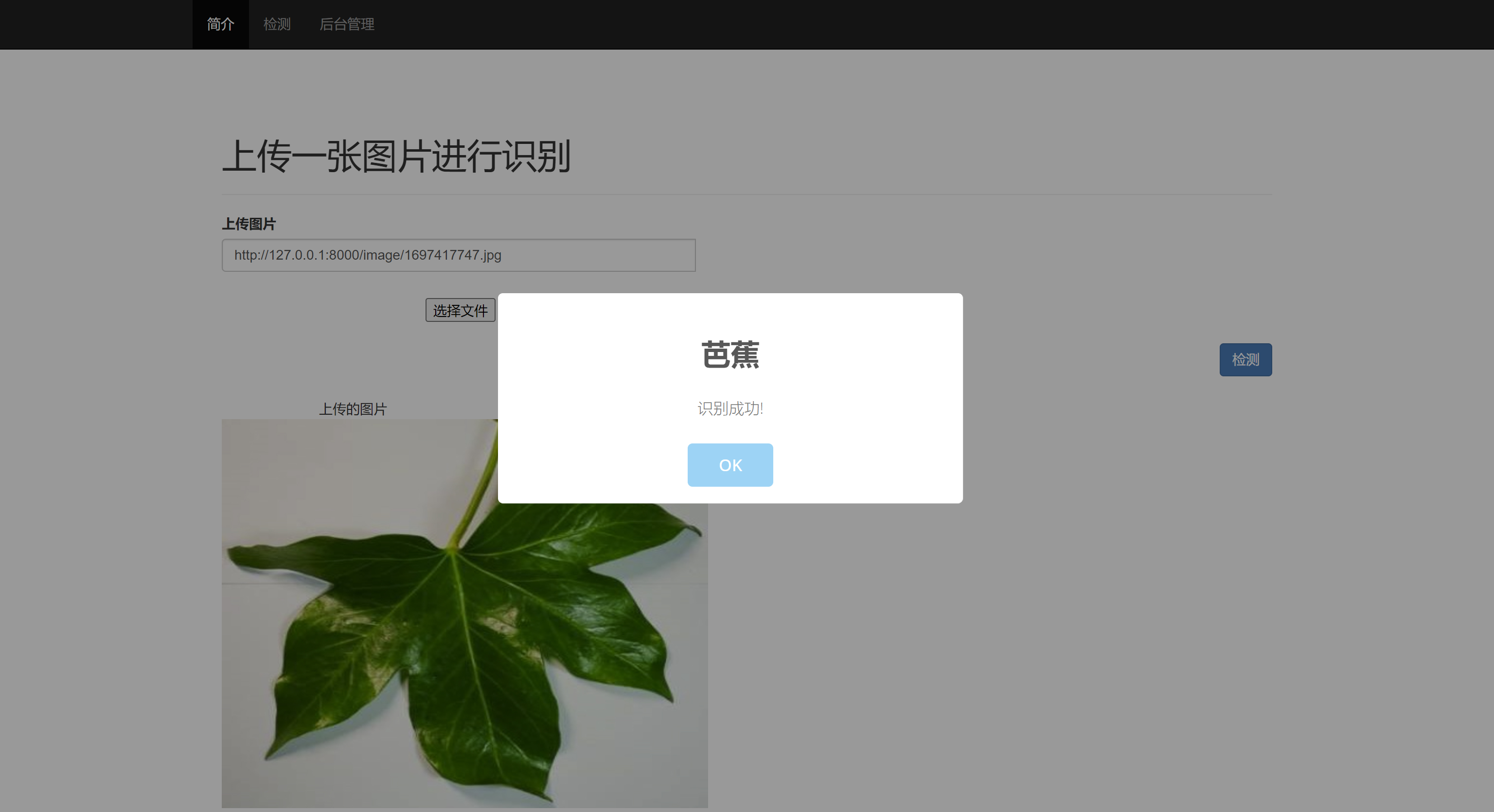 树叶识别系统python+Django网页界面+TensorFlow+算法模型+数据集+图像识别分类_卷积神经网络