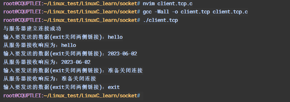 【socket】从计算机网络基础到socket编程——Windows && Linux C语言 + Python实现（TCP+UDP）_linux_27
