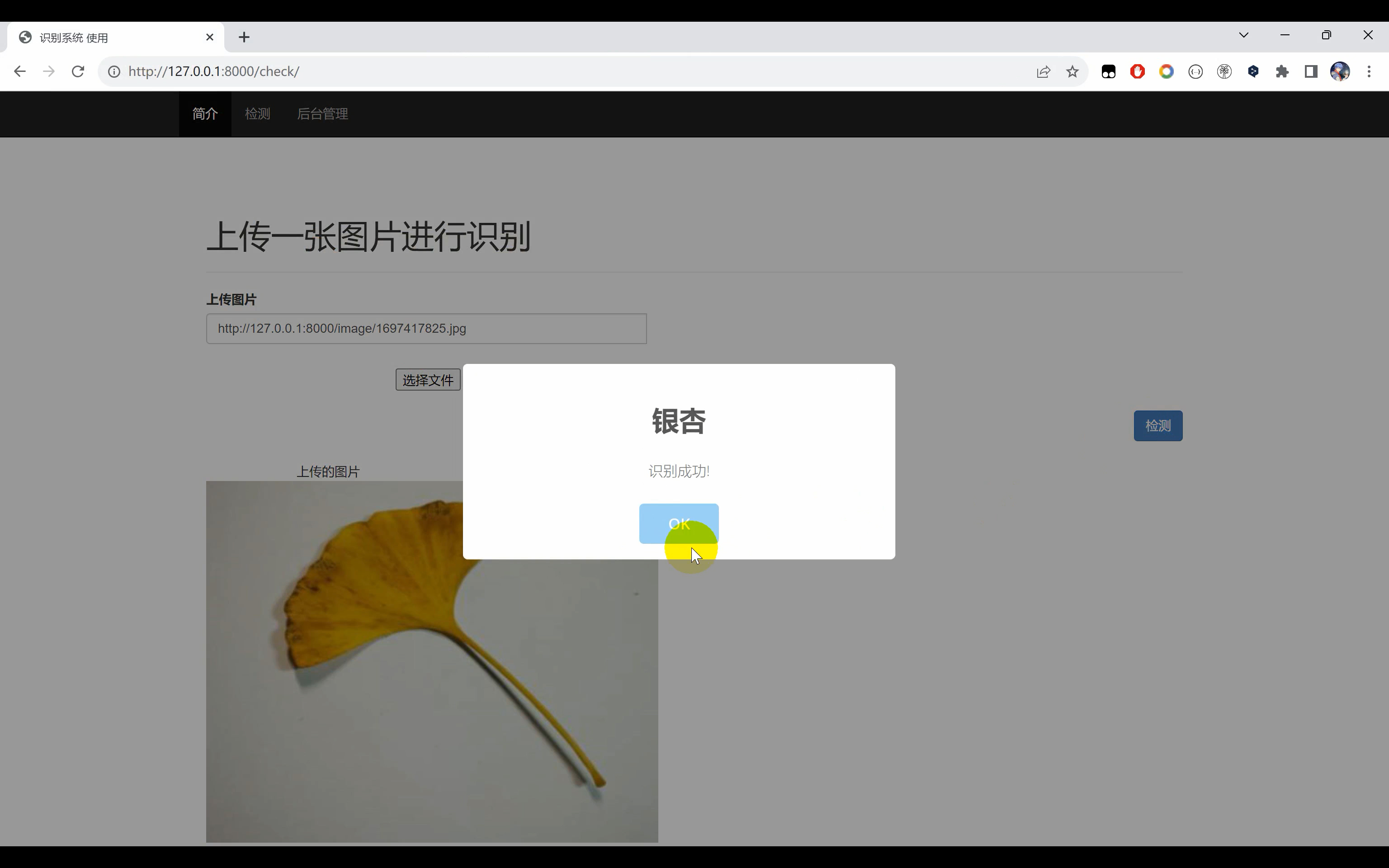 树叶识别系统python+Django网页界面+TensorFlow+算法模型+数据集+图像识别分类_图像识别_02