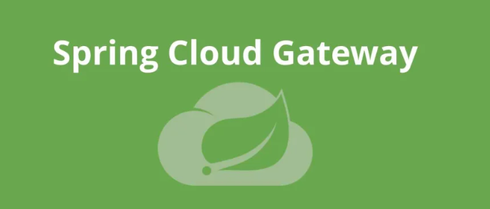 Spring Cloud Gateway：新一代微服务 API 网关，用起来真优雅！_Cloud