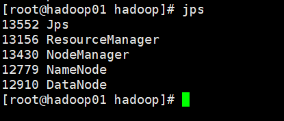 Hadoop集群安装和搭建_HDFS_22